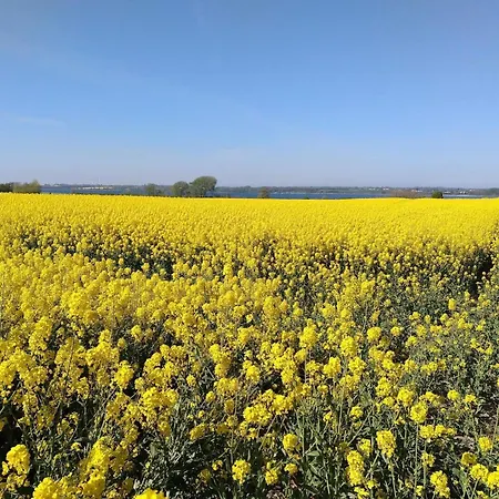 8 Person In Sydals-by Traum * Skovmose