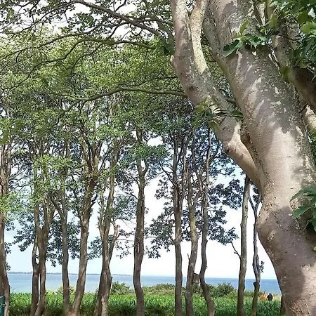 Feriehus 8 Person In Sydals-by Traum Skovmose